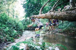 BIB: 
                            <button type="button" onclick="openModal(25441108)" class="btn btn-primary btn-sm float-right btn-popup" data-toggle="modal" data-target=".modal-high-quality">
                        <i class="fas fa-shopping-cart"></i> Add to Cart
                    </button>
                                            <button type="button" onclick="isThisMe(25441108, true)" class="btn btn-success btn-sm float-right btn-popup btn-isme hidden" data-toggle="tooltip" data-placement="bottom" title="นี่คือรูปของคุณใช่ไหม คลิกที่นี่เพื่อเอาเข้าอัลบั้ม">
                        <i class="fas fa-plus"></i> Add to album
                    </button>
                    <button type="button" onclick="isThisMe(25441108, false)" class="btn btn-warning btn-sm float-right btn-popup btn-isnotme hidden">
                        <i class="fas fa-ban"></i> Remove from album
                    </button>